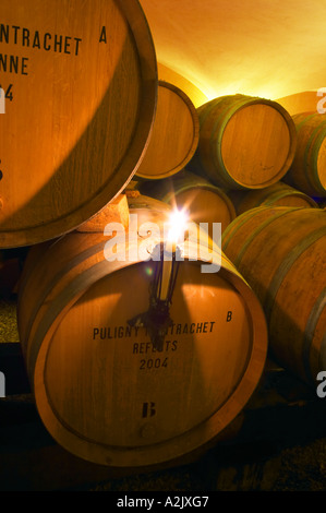 The old style vaulted barrel aging cellar with barriques pieces with maturing wine. A burning candle on a barrel used for controlling if a racked wine is clear or cloudy, Maison Louis Jadot, Beaune Côte Cote d Or Bourgogne Burgundy Burgundian France French Europe European Stock Photo