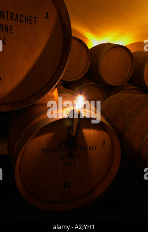 The old style vaulted barrel aging cellar with barriques pieces with maturing wine. A burning candle on a barrel used for controlling if a racked wine is clear or cloudy, Maison Louis Jadot, Beaune Côte Cote d Or Bourgogne Burgundy Burgundian France French Europe European Stock Photo