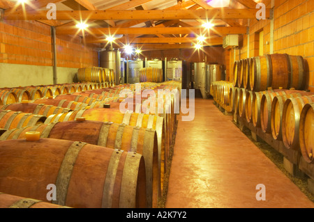 Cave P et Andre Perret in Chavannay, making Condrieu, Saint Joseph, Cote Rotie.  In the winery. In the barrel aging cellar. Oak Stock Photo