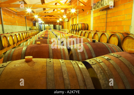 Cave P et Andre Perret in Chavanay, making Condrieu, Saint Joseph, Cote Rotie.  In the winery.  In the barrel aging cellar. Oak Stock Photo