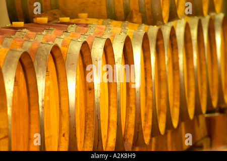 Cave P et Andre Perret in Chavanay, making Condrieu, Saint Joseph, Cote Rotie.  In the winery. In the barrel aging cellar. Oak Stock Photo