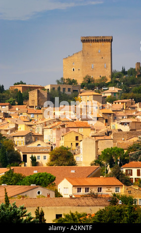 A view over the village Chateauneuf-du-Pape, the terracotta roof tops rooftops and the ruins of the Pope's summer palace Chateauneuf-du-Pape Châteauneuf, Vaucluse, Provence, France, Europe Chateauneuf-du-Pape Châteauneuf, Vaucluse, Provence, France, Europe Stock Photo