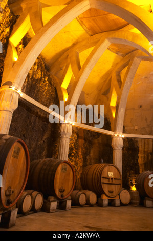 Big vats and the roof construction that gives associations to a cathedral carved in the rock. Pillars and arches. Chateau Romanin, Saint Remy de Provence, Bouches du Rhone, Provence, France, Europe Stock Photo