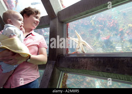 Mother and baby daughter in underwater viewing enclosure at Seattle Aquarium Seattle King County Washington USA Stock Photo