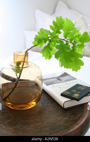 Plant in vase with books on table Stock Photo