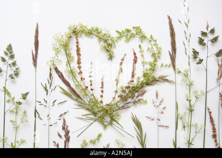 High angle view of heart made out of grass Stock Photo