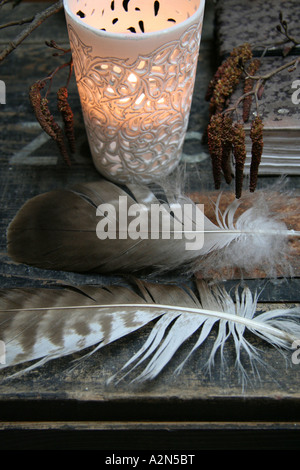 High angle view of lamp and feathers Stock Photo