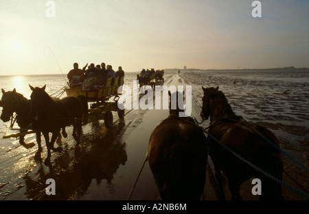 Silhouette of tourists riding on horse-drawn carriage at beach, Hamburg, Germany Stock Photo