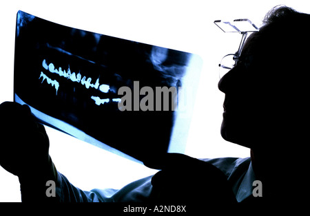 A  dentist examines dental x-ray. Picture Jim Holden. Stock Photo