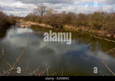 Coombe Hill Canal from The Wharf Near Tewkesbury Stock Photo