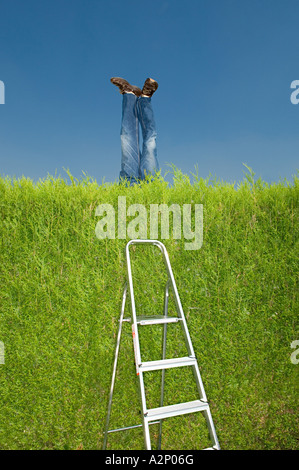 Legs of mannequin behind hedge Stock Photo