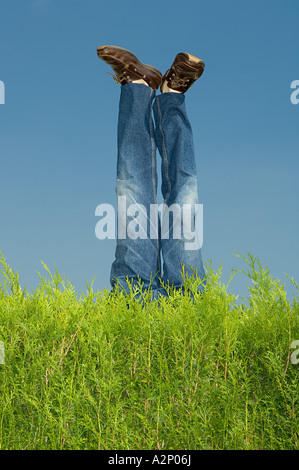 Legs of mannequin behind hedge Stock Photo