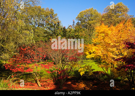 Autumn Colour in Glossop in the Peak District in Derbyshire Stock Photo