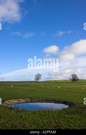 A Dew Pond on farmland in the Peak District in Derbyshire Stock Photo