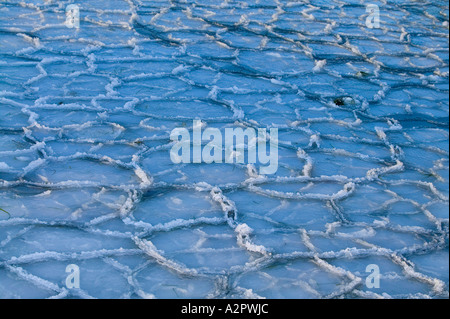 Ice pack Stock Photo