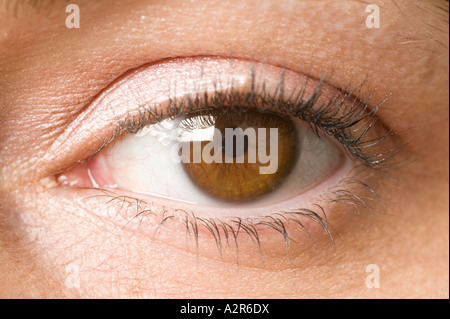 extreme close up of womans brown eye Stock Photo