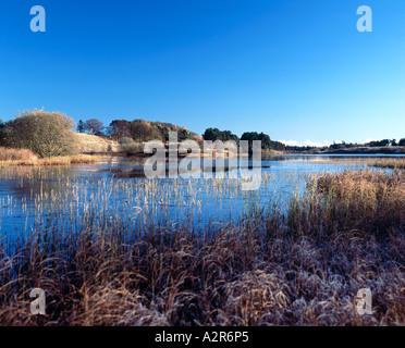 Lindean Reservoir, near Selkirk, Scottish Borders, Scotland Stock Photo