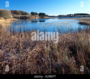 Lindean Reservoir, near Selkirk, Scottish Borders, Scotland Stock Photo