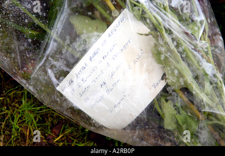 Note on flower boquet left in Memorial Garden for 144 people 116 of them children killed 21st October 1966 Stock Photo