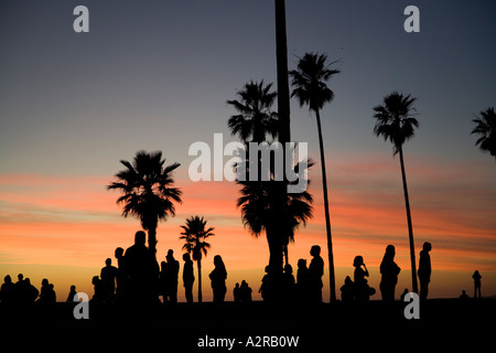 Crowds at Venice Beach Los Angeles Los Angeles County California United States of America Stock Photo