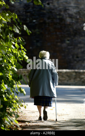 Elderly lady walking with stick down road in dappled sunlight UK Stock Photo