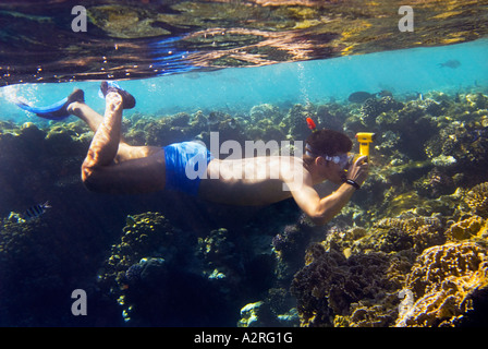 photographer snorkeling diving goggles yellow underwater under water camera reef riff at Sharm El Sheikh EGYPT HADABA snorkler Stock Photo