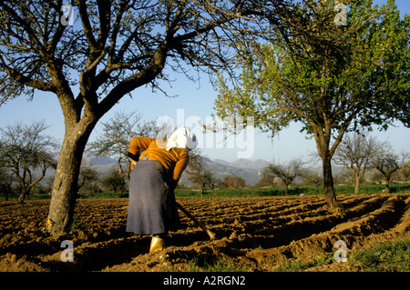 ploughman plougher plough peloponnese Greek Greece Farm house farming farmer agriculture field Stock Photo