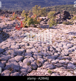 Nisga'a Memorial Lava Bed Provincial Park near New Aiyansh, Northern BC, British Columbia, Canada, Volcanic Rock Formation Field Stock Photo