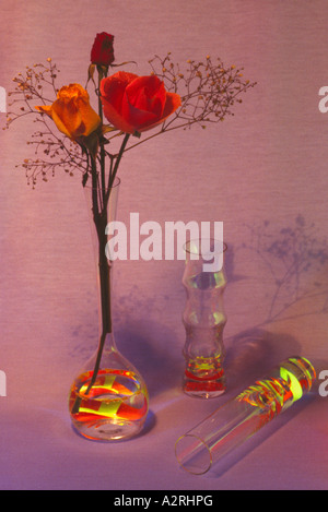 Three Red Roses in a Glass Vase against a Pink Background Stock Photo