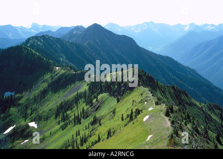 View of the Selkirk Mountains and Coniferous Forests from Idaho Peak in the Kootenay Region of British Columbia Canada Stock Photo