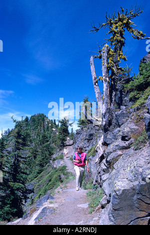 Hikers hiking on the Trail to Idaho Peak in the Selkirk Mountains in the Kootenay Region of British Columbia Canada Stock Photo