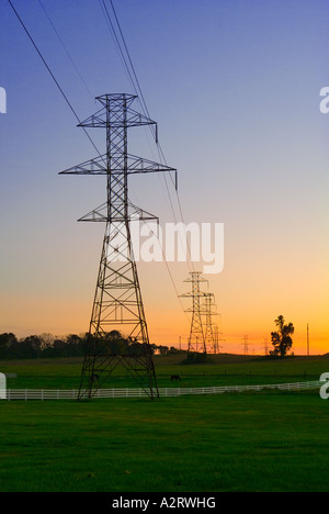 Electric Power Lines Near Farm Pasture, Pennsylvania, USA Stock Photo
