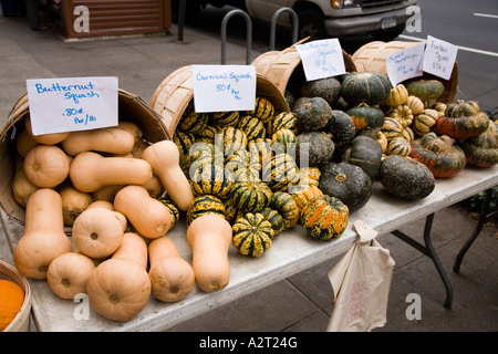 Street market stall display of squashes. Broadway near Columbia University Upper West Side New York City USA Stock Photo