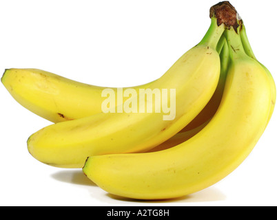 banana (Musa paradisiaca), bunch of bananas Stock Photo