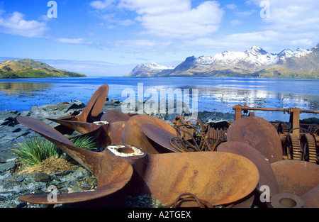 rusting marine screws on shore of formerly wale base, Antarctica, South Georgia Stock Photo
