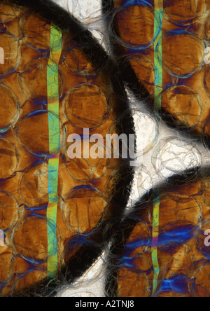 Cross Polarized Filters (Medium Format) Stock Photo