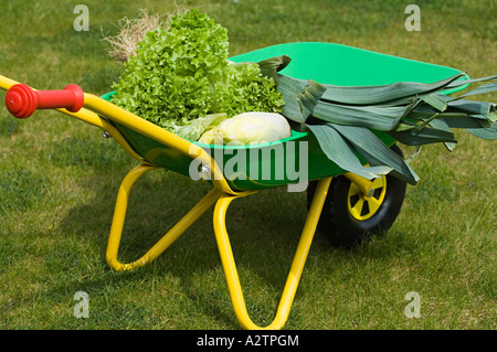 Vegetables in a wheelbarrow Stock Photo