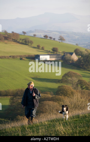 Welsh hill farmer and his sheepdog, Brecon Beacons National Park, Powys, Wales Stock Photo