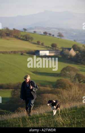 Welsh hill farmer and his sheepdog, Brecon Beacons National Park, Powys, Wales Stock Photo