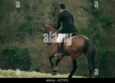 huntsman fox hunting warickshire Stock Photo