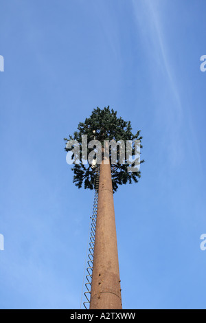 mobile phone antenna tower shaped like a tree Stock Photo