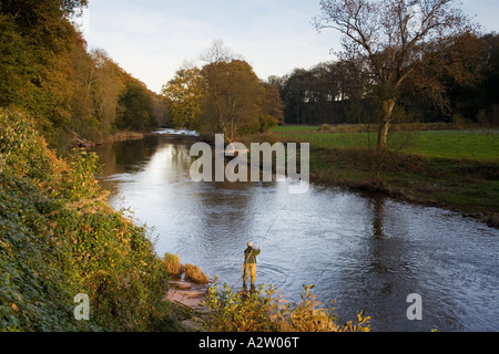 Fly fishing on the River Usk at the Gliffaes Country House Hotel, Brecon Beacons, Wales Stock Photo