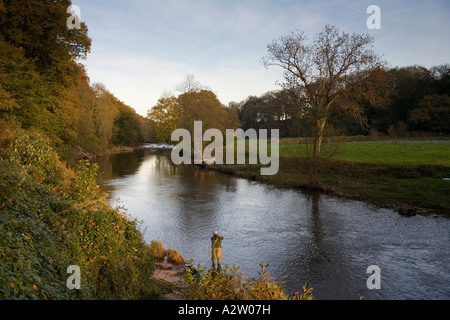 Fly fishing on the River Usk at the Gliffaes Country House Hotel, Brecon Beacons, Wales Stock Photo