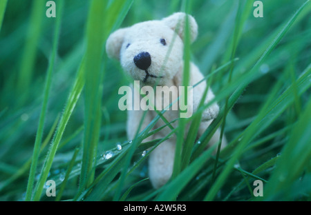 An intrepid small beige teddy bear marching or lost or searching in a jungle of grass Stock Photo