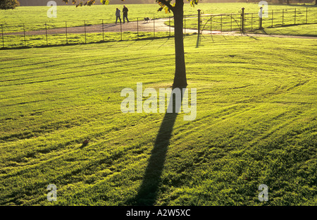 Lawns with signs of recent cutting in warm late afternoon autumn sunshine and with young oak fence gates and dogwalkers Stock Photo