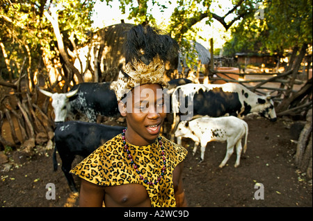 People Zulu man in traditional dress with cattle Lesedi Cultural Village near Johannesburg South Africa Stock Photo