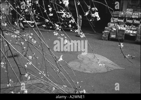 heart shape stuck on a pavement. Stock Photo