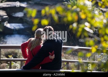 Couple on bridge admire Autumn's colours Stock Photo