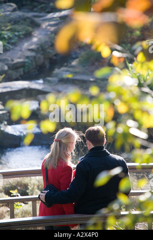 Couple on bridge stop to admire late Autumn's colours Stock Photo