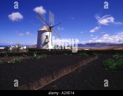 dh  TIAGUA LANZAROTE Field of crops and white wash walled windmill Stock Photo